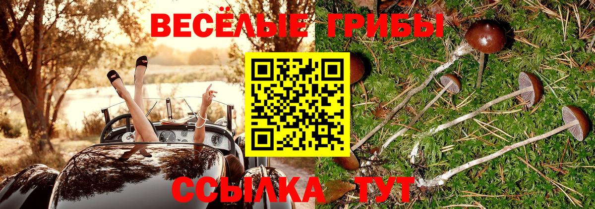 Галлюциногенные грибы ЛСД Заречный