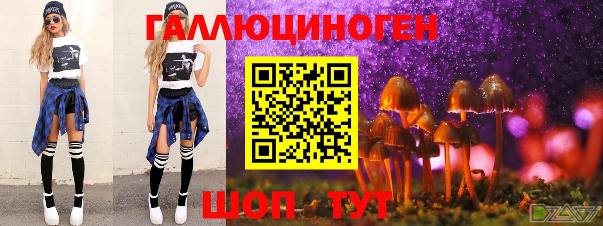 Галлюциногенные грибы Psilocybe  Вход с VPN  Заречный 