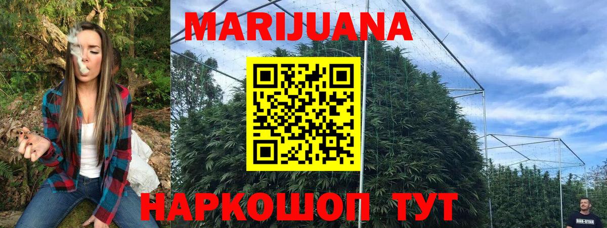 Канабис THC 21%  Шишки марихуана планчик  Конопля индика  Заречный  Вход с VPN 